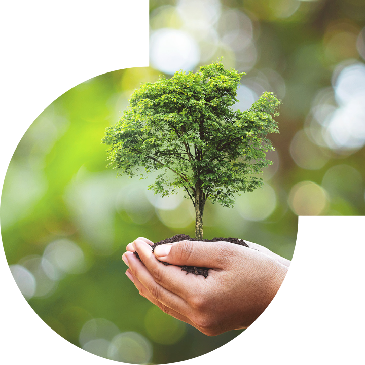 關懷人類、文化、環境與社會